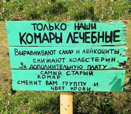 Не забывайте брать средства от москитов