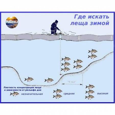 Где искать леща зимой на водоеме.
