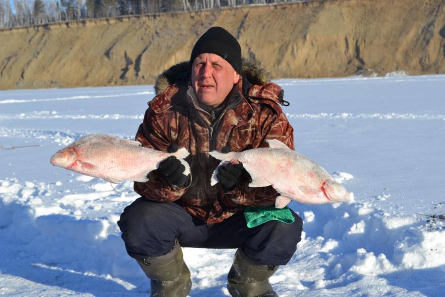 Рыбалка на Леща в Сузунском районе зимой.