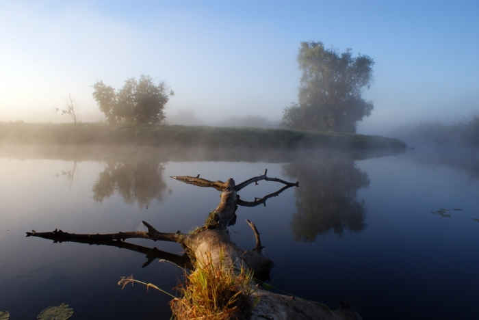 Утро на реке