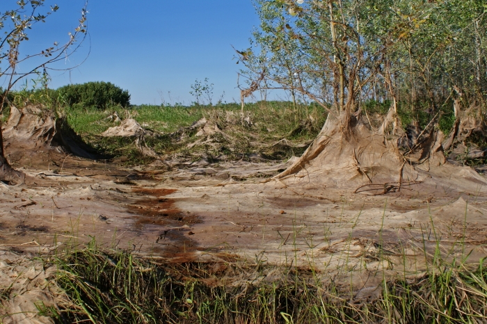 Вода, возвращаясь в русло Оби.