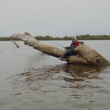 Посмотреть крупнее