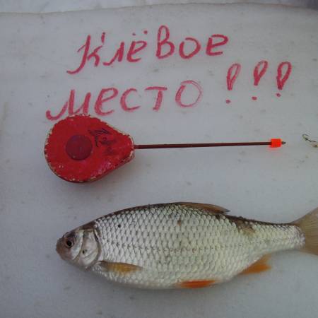 Посмотреть крупнее