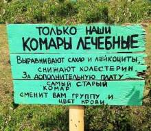  не забывайте брать средства от москитов
