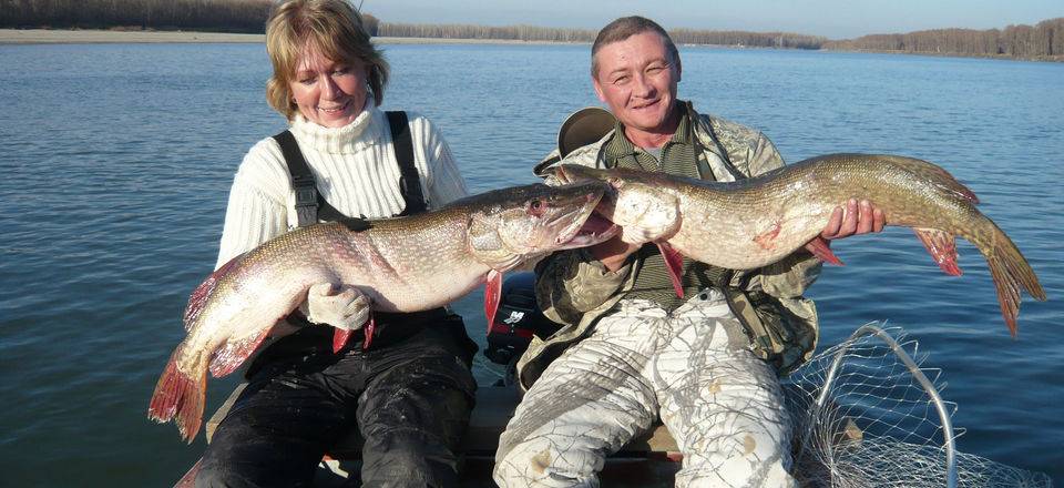 Трофейная рыбалка на Оби в Сузунском районе на базе «Клевое место».